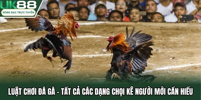 Luật Chơi Đá Gà tại UK88