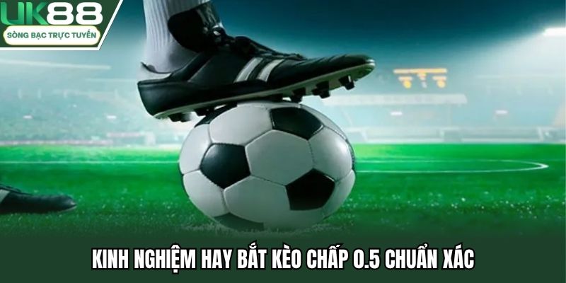Kinh nghiệm hay bắt kèo chấp 0.5 chuẩn xác