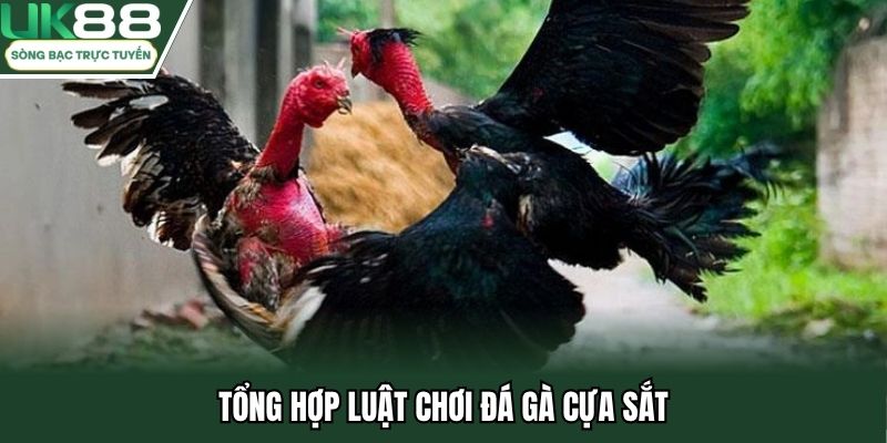 Tổng hợp luật chơi đá gà cựa sắt