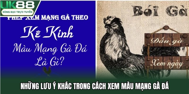 Những lưu ý khác trong cách xem màu mạng gà đá